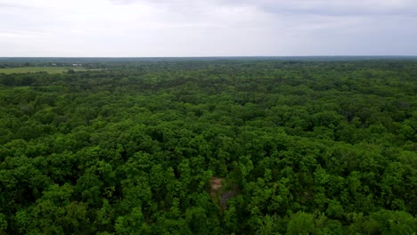 Lush,-Green-Forests-in-the-Summertime-of-Columbia,-Missouri---Aerial