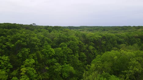 Beautiful-Nature-Scenery-of-Lush-Green-Forests-in-America-Midwest-State-of-Missouri---Aerial