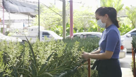 A-masked-asian-woman-at-an-outdoor-nursery-picks-up-a-small-plant-and-examines-it