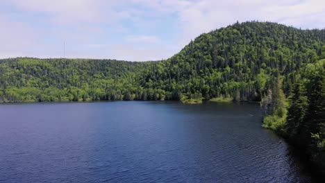 Drone-footage-of-a-lake-surrounded-by-mountains-and-forests,-drone-slowly-turns-right-around-a-tree-during-the-day-above-clear-blue-water