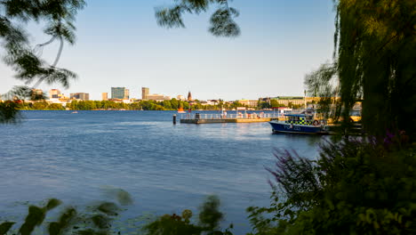 Beautiful-time-lapse-view-through-bushes-and-tree-of-Außenalster-with-many-sailing-boats-and-canoes-passing-by-on-sunny-day-in-Hamburg,-Germany
