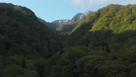 Forests-and-Mt-Daisen,-Tottori-Japan-National-Park,-Tilt-Reveal-Shot