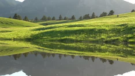 Reflexion-Von-Sanften-Hügeln-Und-Bäumen-Auf-Ruhiger-Wasseroberfläche