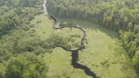 Spectacular-aerial-view-over-meandering-river-mangrove
