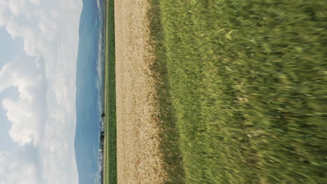 Blick-Auf-Grüne-Und-Braune-Weizenfelder-In-Der-Nähe-Von-Delnita-An-Einem-Bewölkten,-Sonnigen-Tag