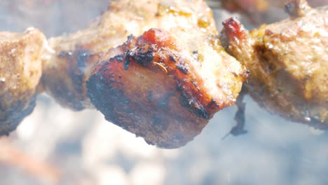 Fresh-tasty-pork-shahlik-grilling-on-smoking-wood-bbq,-close-up