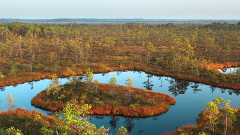 Countryside-valley-wetland-marsh-bog,-wildlife-habitat,-4K-aerial-view