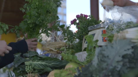 Ausgeschnittene-Bilder-Von-Verbrauchern,-Die-Bio-Gemüse-Auf-Dem-Bauernmarkt-In-Durham,-North-Carolina,-Kaufen
