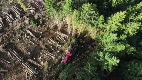 Top-down-view-of-Logging-Equipment-in-Action-at-the-Forest---processing-spruce-forest