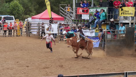 At-a-promotional-rodeo-for-the-Foire-de-Bourail-event---bull-bucks-off-and-tramples-the-cowboy---slow-motion