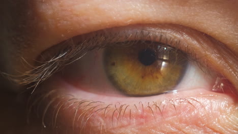 Extreme-close-up-of-human-green-eye-iris-in-4K-video