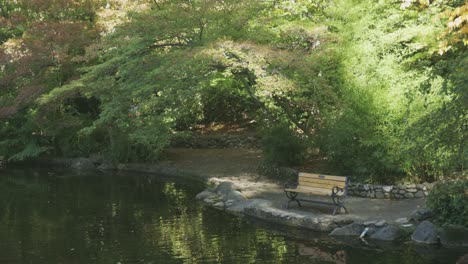 View-of-an-empty-bench-in-Lithia-public-park-side-of-the-water