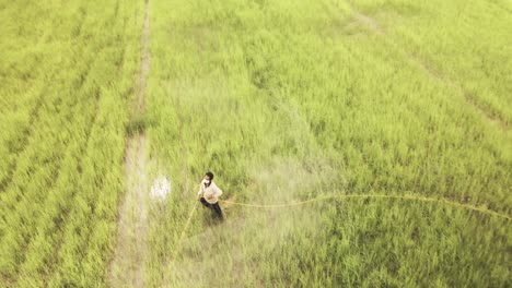 Agricultor-Rociando-Pesticidas-Para-Insectos-En-Su-Cultivo-De-Arroz