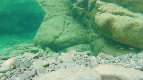 Zeitraffer-Unter-Wasser-In-Einem-Gebirgsfluss-Mit-Forellen