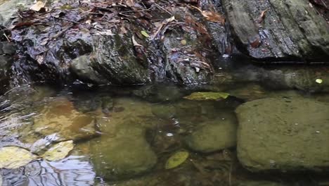 Wasser-Fließt-In-Ein-Bachbecken-Mit-Steinen-Und-Blättern