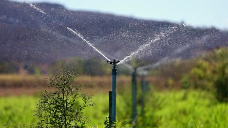 Irrigation-system-watering-vegetable-fields-on-a-rural-farm-in-Brazil-in-slow-motion