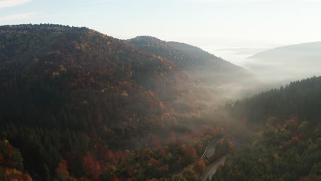 Aerial-View-Of-Foggy-Forest-At-Colorful-Sunrise-In-Autumn---drone-forward