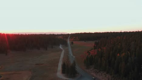 narrow-country-road-through-pine-forest-with-autumn-foliage,-at-sunset
