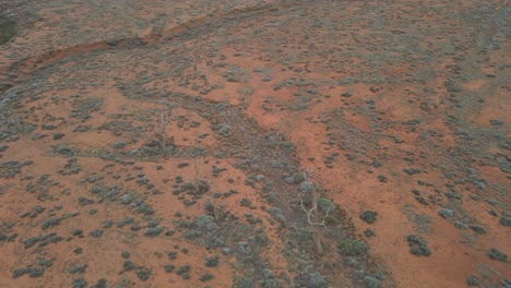 Aerial-ascending-top-down-view-outback-terrain-due-climate-change,-Australia