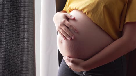 Una-Mujer-Embarazada-Sosteniendo-El-Vientre