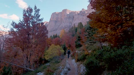 Front-view-of-young-Hiker-man-with-trekking-backpack-walking-on-trail-in-dark-autumn-woods-in-Ordesa-National-Park,-Spain