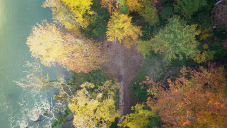 Luftaufnahme-Von-Oben-Nach-Unten,-Bunte-Herbstbäume-Neben-Dem-Fluss-Im-Park