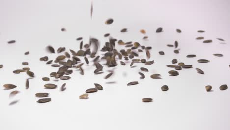 Roasted-And-Shelled-Pumpkin-Seeds-Falling-And-Scattering-On-Clean-Surface-Isolated-In-White-Background