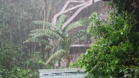 Handheld-Clip-Eines-Sintflutartigen-Regengusses-Während-Der-Regenzeit-Im-Regenwald-Von-Guatemala