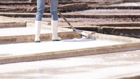 Scraping-The-Salt-On-Top-Of-Salt-Pans-At-Salinas-de-Rio-Maior-In-Portugal