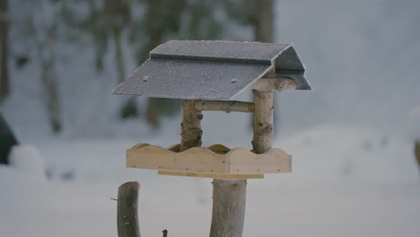 Kleine-Vögel-Kämpfen,-Fliegen,-Suchen-Und-Essen-In-Einem-Vogelhaus-Im-Winter,-Während-Die-Schneebedeckte-Natur-In-Zeitlupe-Mit-240-Bildern-Pro-Sekunde-Aufgenommen-Wird