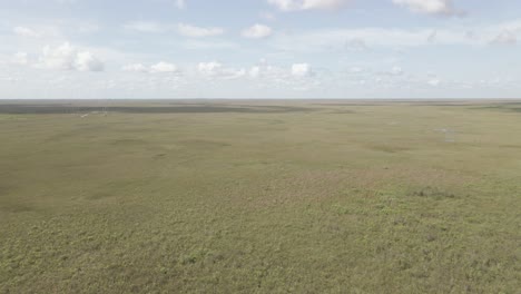 Low-aerial-flight-over-endless-expanse-of-everglades-swampy-grassland