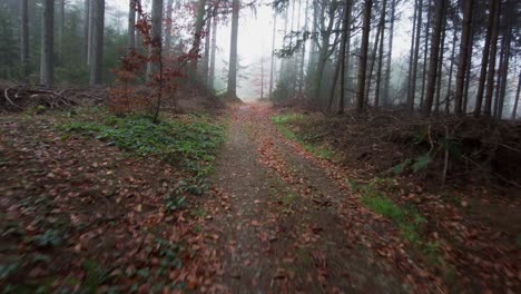 POV-Aufnahme-Eines-Weges-Durch-Den-Dichten-Tropenwald-Mit-Nebel,-Der-Im-Hintergrund-Eine-Mystische-Atmosphäre-Schafft