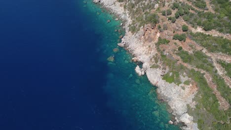 Top-down-aerial-view-of-rocky-sea-shore-with-calm-blue-water-and-deforested-forest,-drone-shot