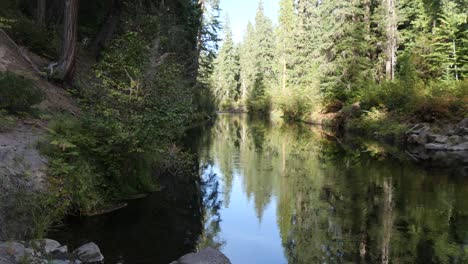 Neigung-Nach-Oben-Aus-Dem-Ruhigen-Wasser-Des-Rogue-River,-In-Dem-Sich-Die-Wunderschönen-Bäume-In-Der-Nähe-Spiegeln