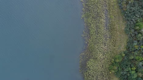 Smooth-flight-in-top-down-view-over-a-unique-penisula-of-white-sand-and-bushes-towards-the-natural-growing-shore-with-green-plants