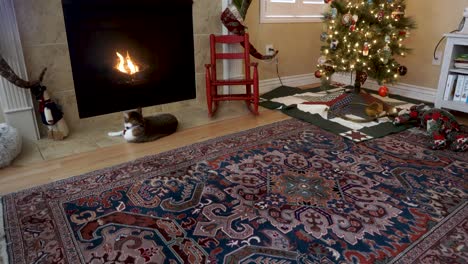 House-cat-sitting-by-the-warm-fireplace-in-a-home-with-a-decorated-Christmas-tree-and-modern-decor
