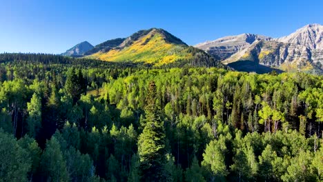Flying-from-behind-a-tall-pine-tree-to-reveal-a-stunning-mountains-scene-in-early-autumn-with-the-aspens-turning-yellow-on-the-distant-peak