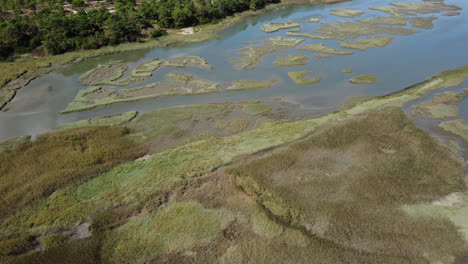 Luftaufnahme-Des-Naturschutzgebiets-Mit-Sumpf,-Wasser,-Grünem-Gras-Und-Bäumen-–-Drohnenaufnahme