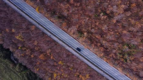 scenic-aerial-view-of-cars-passing-on-a-straight-asphalted-road-in-the-middle-of-the-countryside