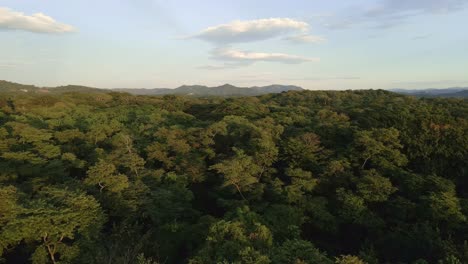 Low-4k-drone-flight-over-the-coastal-rainforest-of-Costa-Rica-with-magnificent-mountain-range-in-background