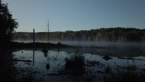 Morning-mist-rises-from-Lee-Lake-in-Limberlost-Forest