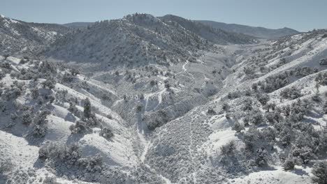 Antena-De-Valle-De-Montaña-Con-Pinos,-Senderos-Y-Nieve-Fresca