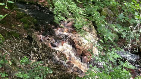 Wasserfallbach-Im-Wald
