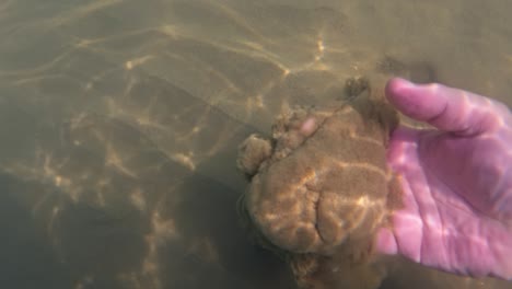 Man-hand-raise-cloud-of-sand-from-seabed,-underwater-slow-motion