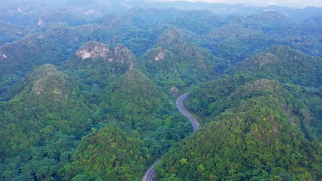 Aerial-view-of-narrow-winding-road-surrounded-by-lush-green-nature-in-Los-Haitises,-Dominican-Republic---drone-shot