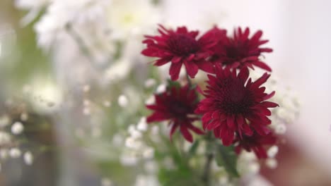 Close-Up-Of-Red-White-Bridal-Bouquet-With-Bokeh-Background