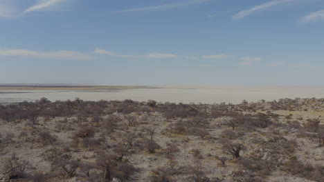 Luftaufnahme-Der-Einzigartigen-Und-Trockenen-Granitfelseninsel-Auf-Der-Insel-Kubu,-Makgadigadi-Pfannen,-Botswana