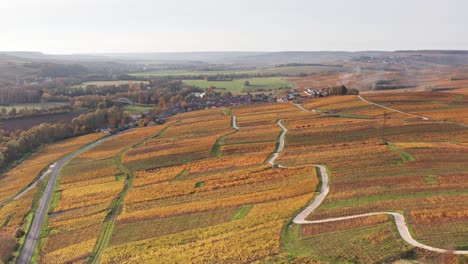 Aerial-Drone-sunset-flyover-vineyards-near-Épernay-France-Autumn
