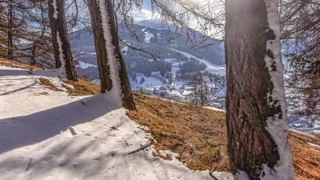 Teilweise-Mit-Schnee-Bedeckte-Baumstämme-Beschatten-Den-Boden-Durch-Rückwärtiges-Sonnenlicht