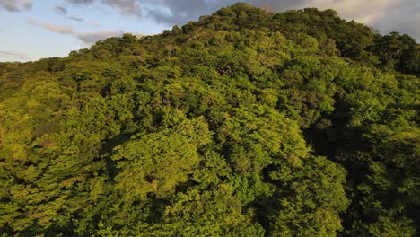 4K-Luftbildvideo-Einer-Drohne,-Die-Den-Grünen-Dschungel-Filmt,-Während-Sie-Direkt-Zurück-Und-In-Die-Ferne-Fliegt